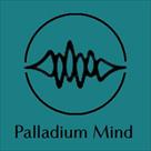 palladium mind inc