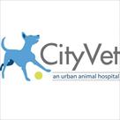 cityvet  an urban animal hospital