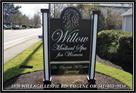 willow medical spa for women