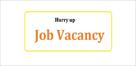 online based work from home job apply soon