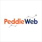 peddleweb professional seo company