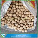 walnut in shell wholesale for sale