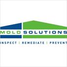 mold solutions nw
