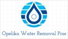 opelika water removal pros