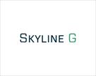 skyline g executive coaching leadership development