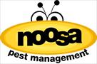 noosa pest management