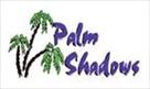 palm shadows