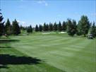 golf courses | edmonton and spruce grove