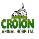 croton animal hospital