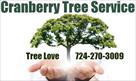cranberry tree care service