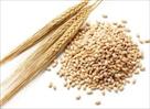 dr foods (wheat flour  chakki atta  manufacturers)