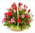 online flower and gift shop in jaipur
