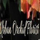 urban orchid florist