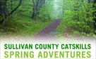 sullivan county visitors association