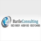 barile consulting services  llc