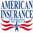 american insurance partners  llc