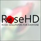 roses wallpapers llc