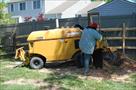 willow tree landscaping services