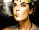 welcome to the best online cigar shop