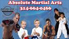 absolute martial arts