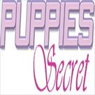 puppies secret  2