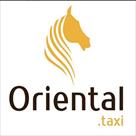 oriental taxi bern