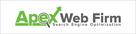 apex web firm search engine optimization