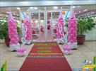 ballon decorater in jaipur | jaipur celebrations