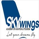 skywings academy of aviation tourism