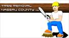 nassau county tree removal pruning emergency stump