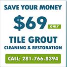 tile grout cleaning webster tx