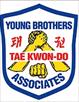 young brothers taekwondo