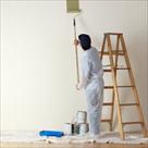sterling professional painters decorators