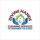 divine hands cleaning
