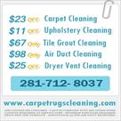 carpet rugs cleaning spring