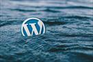 what is the best practices and tips to wordpress w