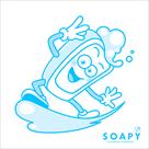 soapy cleaning company