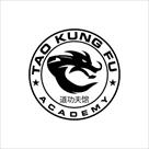 tao kung fu academy