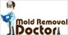 mold removal doctor dallas