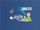 agile training online with live projects