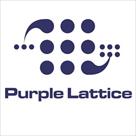 purple lattice it support london