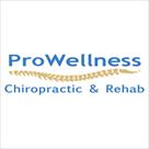 prowellness chiropractic and rehab