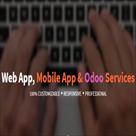 web app  mobile app erp development company