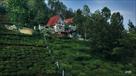 best cottages in ooty