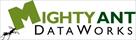 mighty ant dataworks
