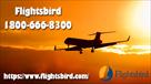 cheap flights from chicago (ord)