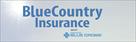 blue country insurance  inc
