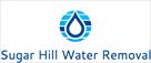 sugar hill water removal experts