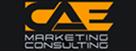 cae marketing consulting  inc