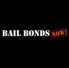 bail bonds now llc